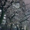 「ブラック霞が関と学校」～官僚が教える“残業代が出ても残業が減らないワケ"①