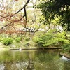 東京の八重桜・お楽しみはまだまだ！～紀尾井町あたり～