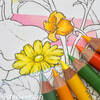 森の少女の物語②お花をプリズマカラー３色で塗る|おかえりモネOP風