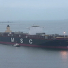 MSC VENICE ＆ スイス代表