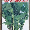 【抽苔撤収】5Lの装置を使ってルッコラを水耕栽培しています。かき取り収穫をしながら長期間楽しみたいです