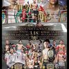 【観戦記】3/18フェニックスバトル。井上岳志vsウェイド・ライアン。
