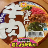 マルちゃん　茶色い牛肉うどん（東洋水産）