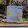 sakeの歩窓から（羽根木公園でメジロ撮り）