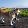さて、伊豆の高原は涼しいのかな…？
