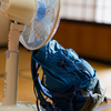 浮田家 Z9でテスト撮影！その3