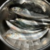 ２週間くらい前、マイワシが爆安だったので、市場に買いに行って刺身を作ってみた
