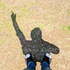 夏至の日差し
