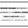 大脳皮質前頭葉の錐体細胞におけるセロトニン1Aおよびセロトニン2A受容体の共同発現と生体内での相互作用について（Amargós-Bosch et al., Cerebral Cortex, 2004）