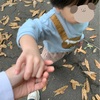 障害と気付いた日。あれからまだ1年経っていないなんて...！
