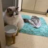 今夜はタワーのてっぺんでY子の帰りを待っていたふくちゃん