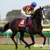 【神戸新聞杯展望】ダービー馬レイデオロがいよいよ始動