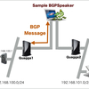 Ryu BGPSpeakerの実践活用へのチャレンジ　〜BGP/OpenFlow連携編〜