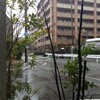 雨の日の楽しみ