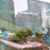 「Sony Aquarium 3D沖縄美ら海（ちゅらうみ）水族館」銀座ソニービル