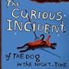 The Curious Incident of the Dog in the Night-time (Mark Haddon) 