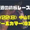 【今週の鉄板レース②】9/22(日) 中山11R オールカマー（GⅡ）〜リーマンブロガーの小遣い稼ぎ大作戦〜 