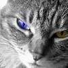 とあるガソリンスタンドでの出来事