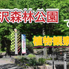 七沢森林公園｜管理された自然が様々な植生を作り出す