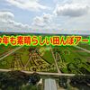今年も素晴らしい田んぼアート