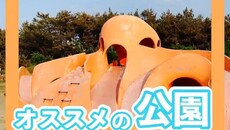 タコ型遊具がある関分記念公園 タコ公園【中央区関屋】