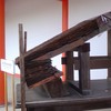 生命の起源と 私達