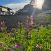 うつ病と頚椎症性神経根症で、薬で症状は抑えられてきていますが、眠気と体重増加に悩んでいます。