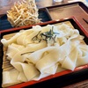 モッチモチの幅広麺のざるきしめんに、ごぼう天