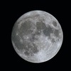 十五夜お月さん御機嫌さん