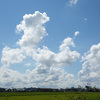 空と緑と澄んだ水