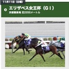 2018 エリザベス女王杯 ゴーヤ君の競馬日記＃1