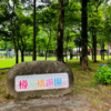 ふれあい動物とメリーゴーラウンドが魅力♪胎内の樽ヶ橋遊園へ