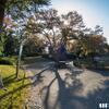 紅葉チェック2024．．朝散歩の公園(2)