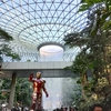 Singapore&KL 