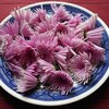 菊の酢の物 菊枕