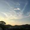 少ししのぎやすくなったかな、でも熱帯夜