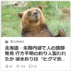 【全国的に頻発するクマ被害について……5／16－17　ヒグマに襲われた釣り人か、遺体の大部分収容――北海道】＃395