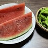 🫛枝豆と小玉スイカを収穫！夏の味覚を楽しみました🍉