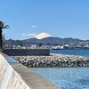 三浦半島75km｜浦賀の人気パン屋さんで買ったたまごサンド、海を眺めながら食べるはずが…