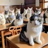 10歳の壁 ( -_-)o