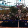 2016年1月1日、京都への日帰り、飛行機編