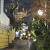 １２．１１．（火・小雨）OB会、於いて山野愛子邸。