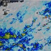 「佐久の季節便り」、雨上がりに、「梅」の収穫…。