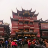 6泊7日上海旅行記【2ー2】 豫園に行ってきた！ 上海の燕雲楼で北京ダック！