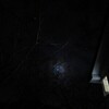 今夜の月