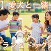 【兵庫県】愛犬と行く！ドッグカフェ＆ドッグラン完全ガイド《90選》
