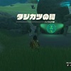 ゼルダの伝説【ティアーズオブキングダム】タジカツの祠