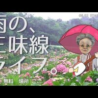 バーチャルおばあちゃんとは 中の人 中身 炎上事件 名言のまとめなどのwiki 楽しい生活