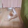 友人の話…入金されました