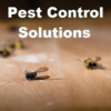 Finding Pest Control Solutions for Residential/Commercial Establishments